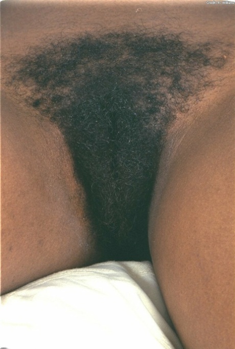 ebony hairy pussy pretty photo
