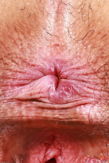 hentai sesso dei nudi img