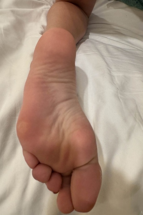 toes nice galleries