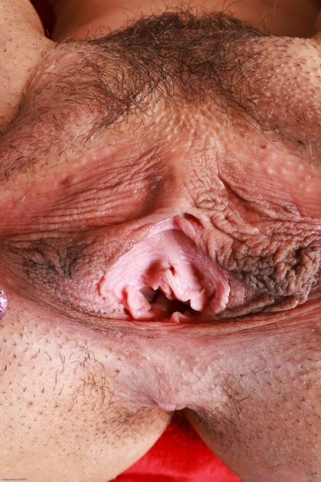 seios médios xxx sexy coleção