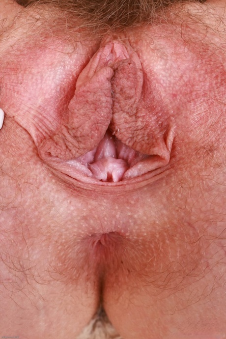 aficionada sexy caliente hd foto