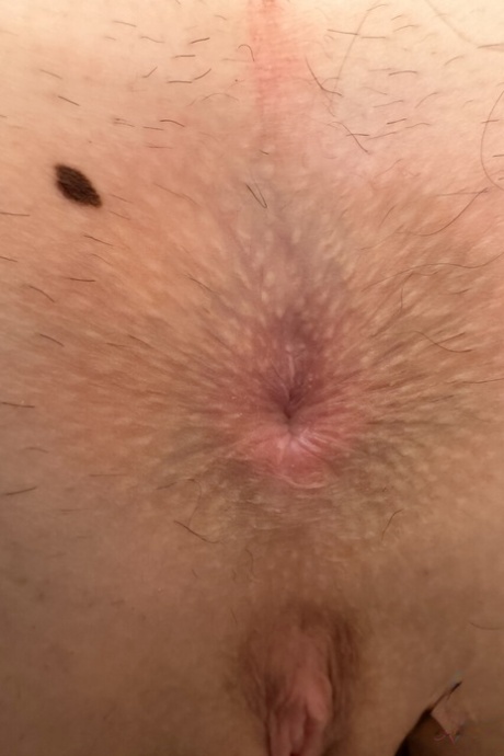 可爱的业余 自由的 畫廊