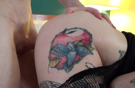 tykk rødhårete hete høy kvalitet bilder