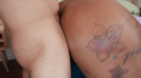 ebony bbw fuck sexy nude galleries