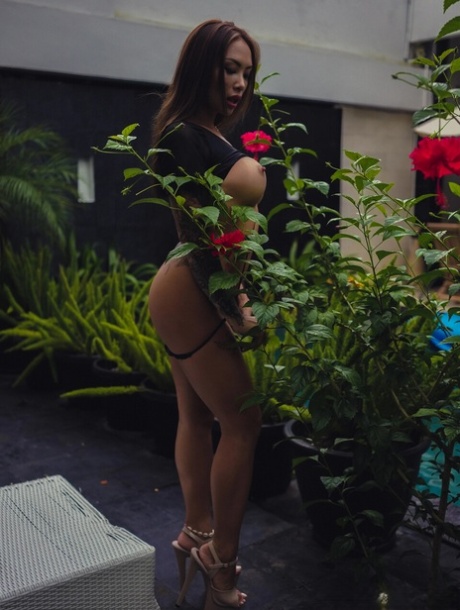 peitos asiáticos sexo pornográfico galeria