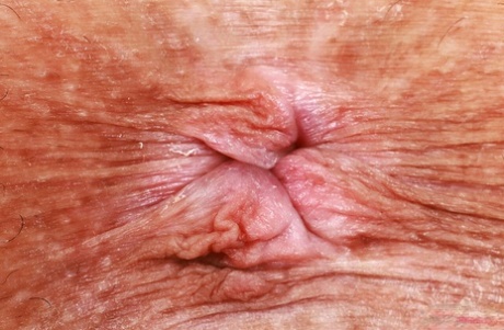abertura anal asiática arte sexo recopilación