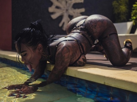 exotic free sex galleries