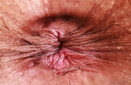 primer plano del culo arte pornografico galerías