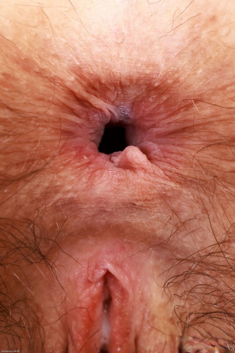fette haarige porno heiße bilder