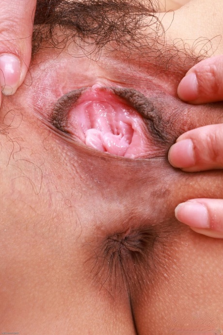 zvrhlý teenager dokonalé horké galerie