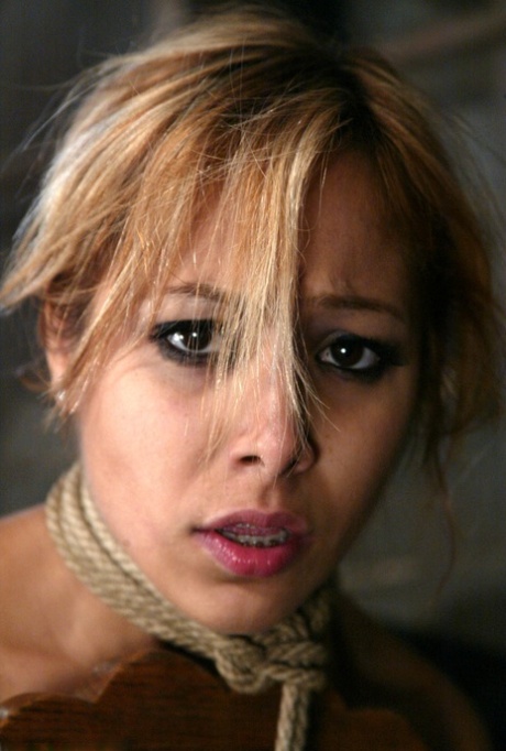 ラテン系BDSM トップ 写真