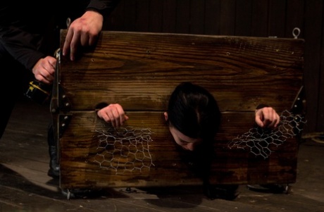 BDSM con curvas hd adulto archivo