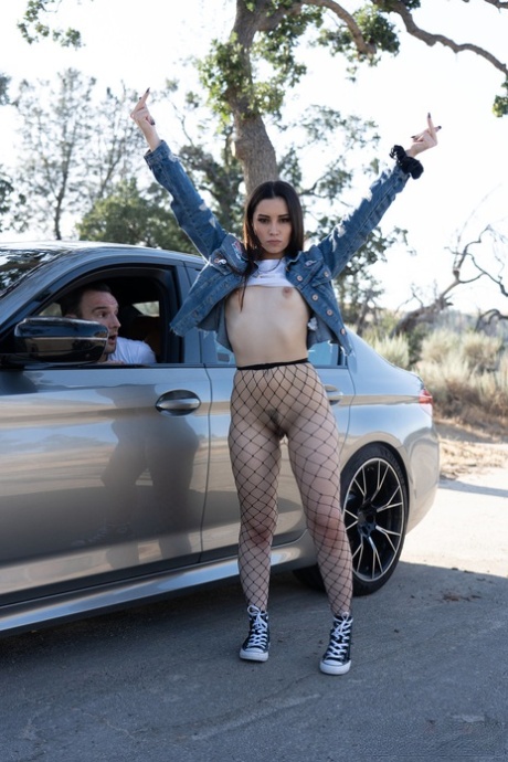 Aria Lee model pornographic galleries